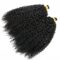 Hair Extensions