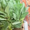 Efo tete/ green vegetables
