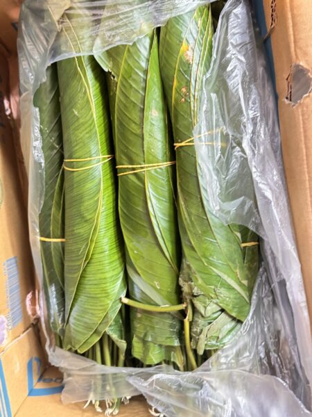 Moinmoin leaves
