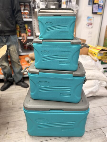 4 in 1 cooler