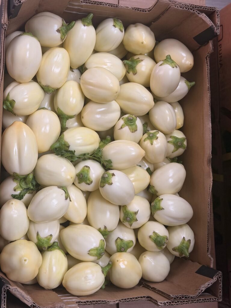 Garden egg 1 kg