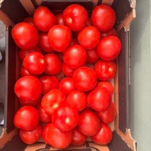 Box of tomato