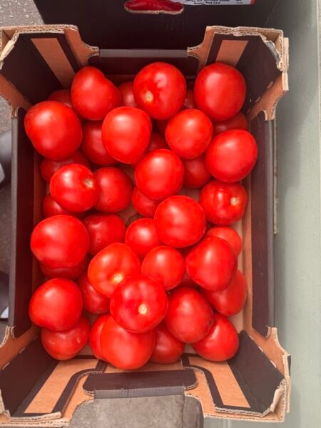 Box of tomato