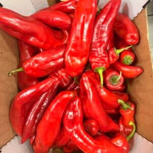 Box of long pepper