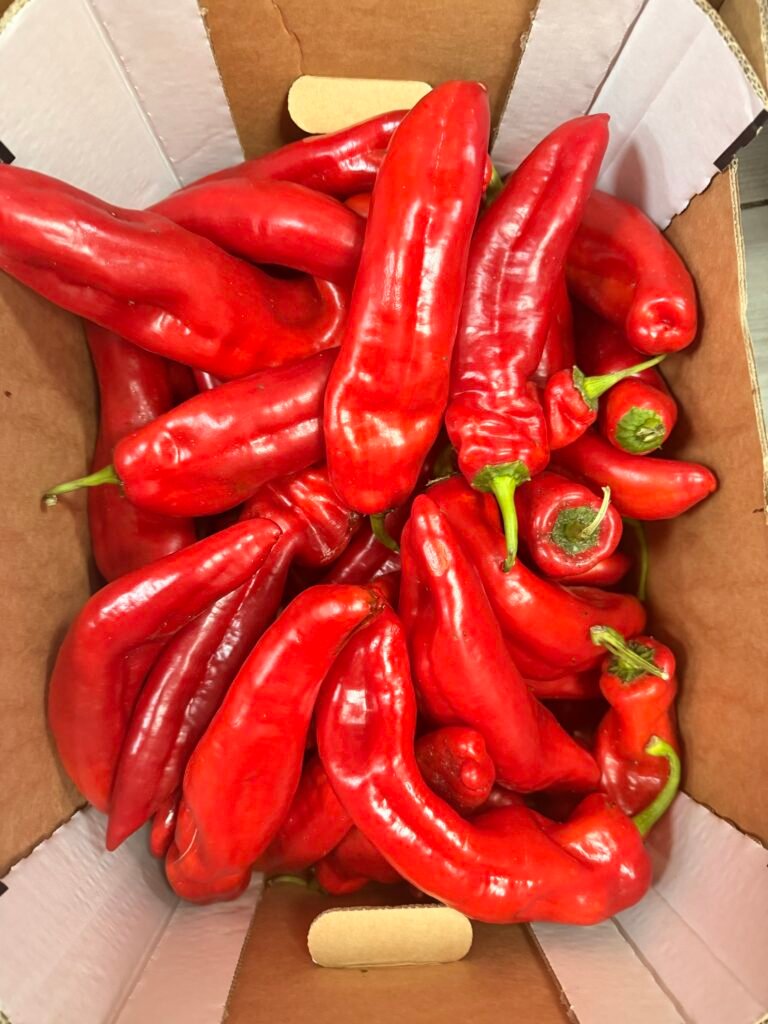 Box of long pepper